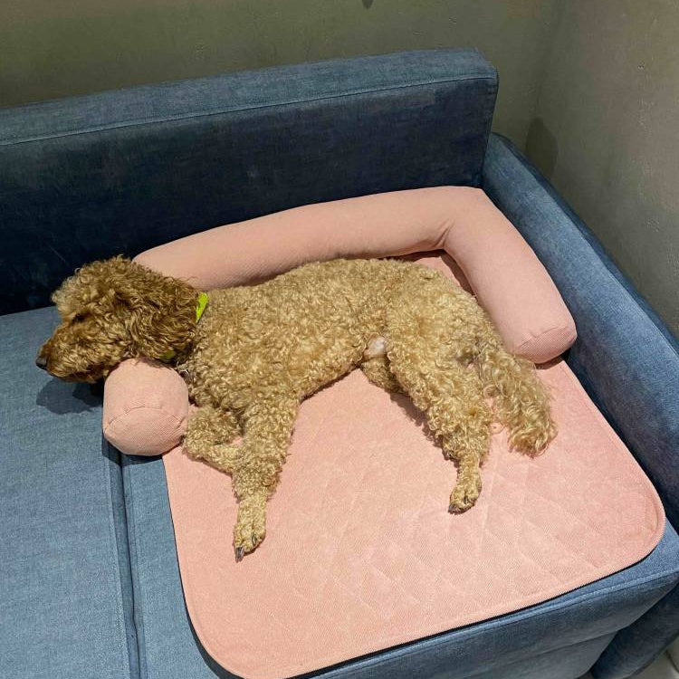 Лежак на диван для тварин