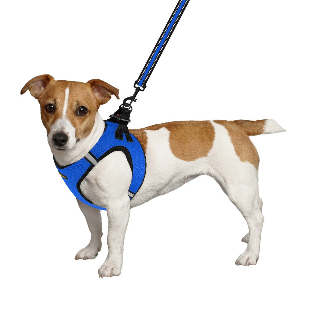 Шлея для собак Bronzedog Mesh Vest 3D сітка, синя