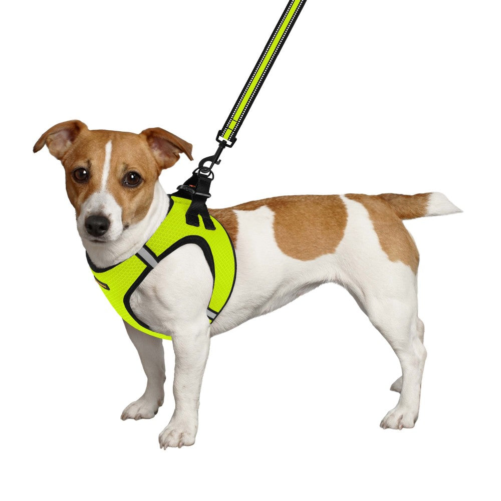 Шлея для собак Bronzedog Mesh Vest 3D сітка, лимонна