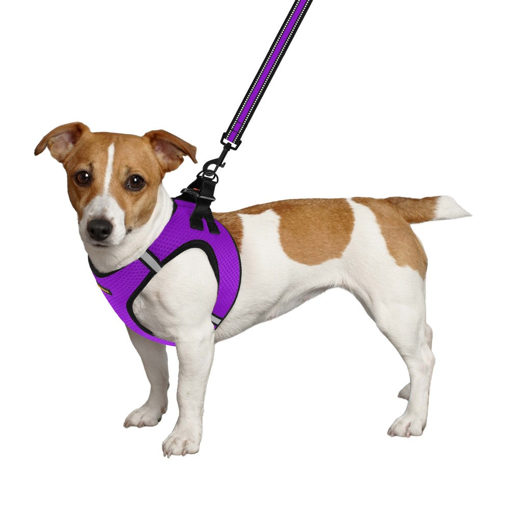 Шлея для собак Bronzedog Mesh Vest 3D сітка, фіолетова
