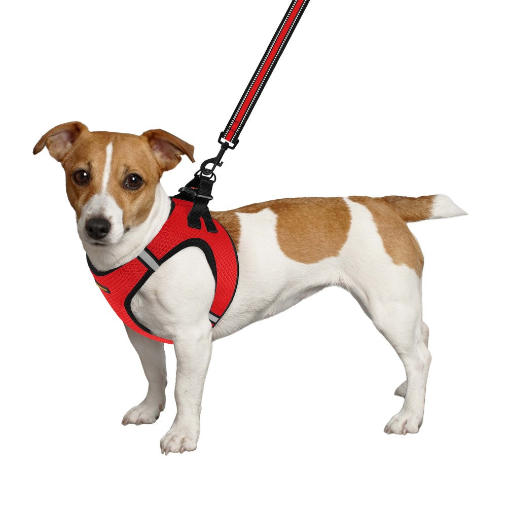 Шлея для собак Bronzedog Mesh Vest 3D сітка, червона