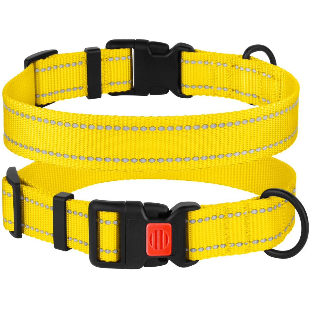 Нашийник для собак BronzeDog Active нейлоновий зі світловідбиттям та пластиковою пряжкою